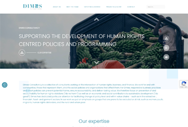 Website dimesconsultancy.com